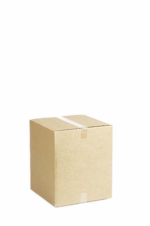 Product Image for 03010161 Corrugated Box 18  x 15-1/2  x 12-1/2  2 Cube ECT32
