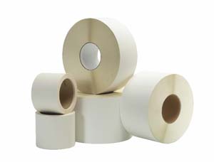 Product Image for 08000489 Label Thermal Transfer 4 X4  Perf'd White  3  Core