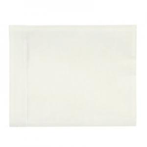 Product Image for 12000020 Packing Slip Envelope GF Standard 4  x 5  No Print