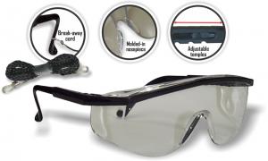 Product Image for 43040725 Safety Glasses Berreta Clear Lens w/cord