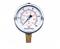 05520622.JPG Pressure Gauge 0-100 PSI 2-1/2 