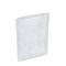 16010821.JPEG Poly Bag Flat Clear 22 x24  Utility Grade