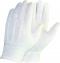 43061198.JPG Glove Cotton Parade Small